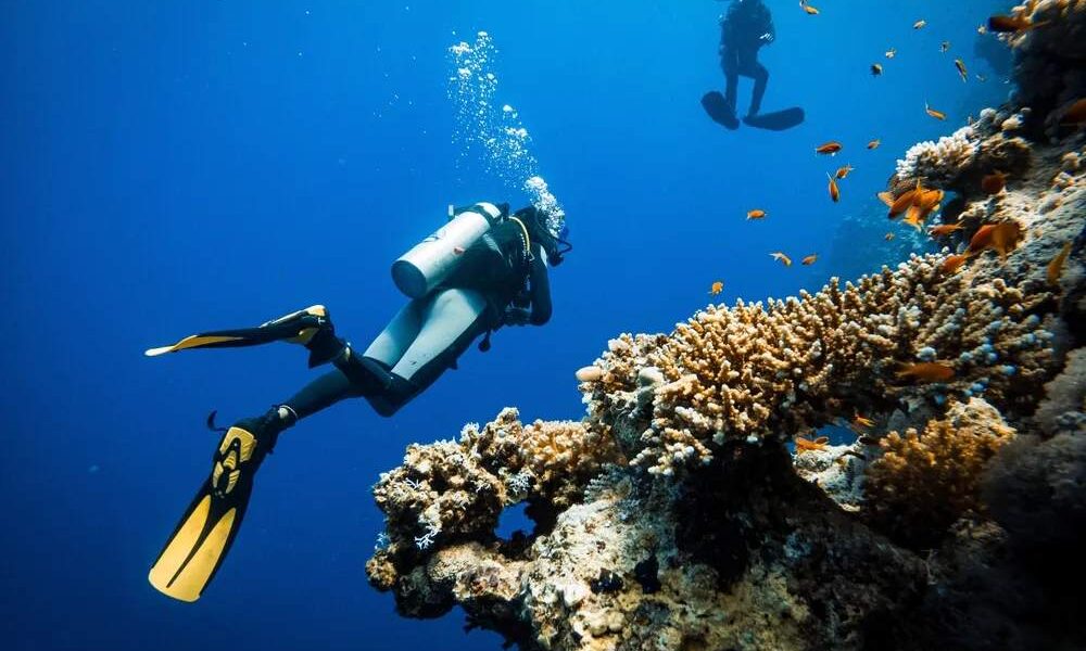Tragedia alle Maldive: cinque turisti italiani perdono la vita durante un’immersione subacquea