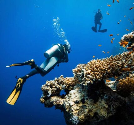 Tragedia alle Maldive: cinque turisti italiani perdono la vita durante un’immersione subacquea