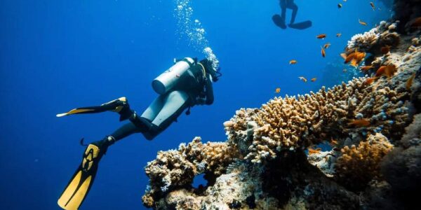 Tragedia alle Maldive: cinque turisti italiani perdono la vita durante un’immersione subacquea