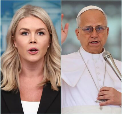 🚨 “HE’S JUST AN OLD MAN IN A WHITE ROBE.” — The chilling moment that left the entire studio in silence after the response from Pope Leo XIV
