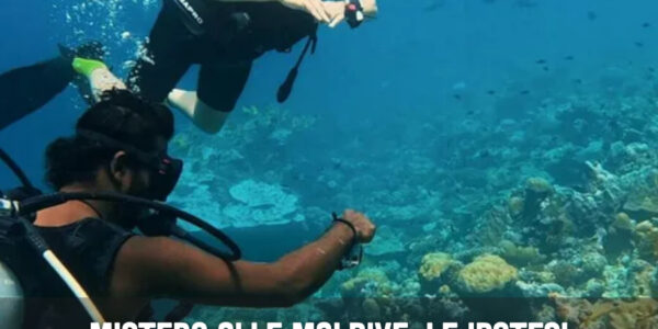Mistero alle Maldive: le ipotesi sulla tragedia dei sub italiani tra disorientamento, trappole e avvelenamento