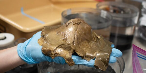 Mistero negli abissi dell’Alaska: finalmente svelata l’identità della strana sfera dorata