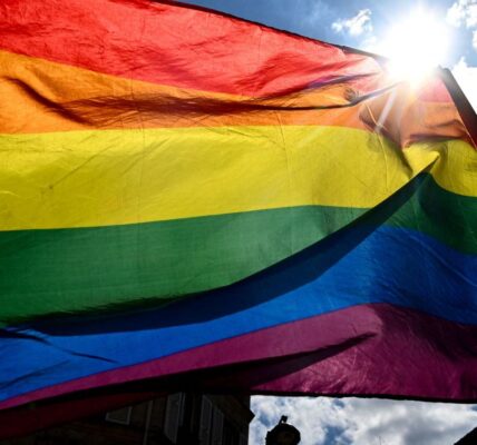 Journée contre l’homophobie : Stop Homophobie accuse les autorités de « manquer cruellement de courage »