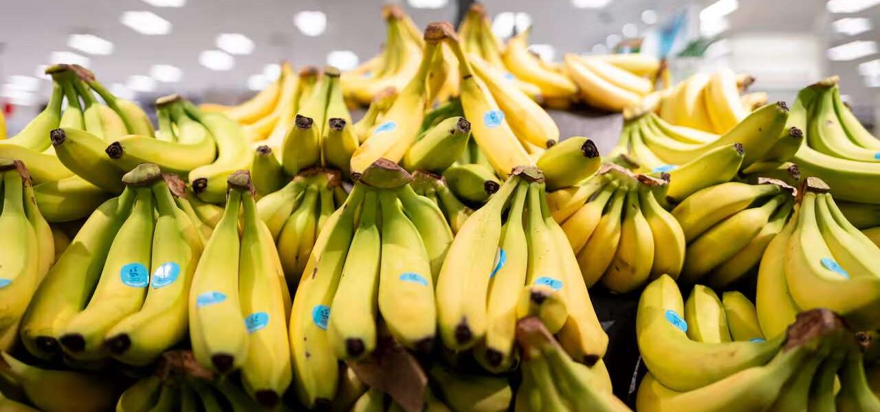 Shock in Brabant: politie ontdekt verborgen drugslading tussen fruit in twee supermarkten