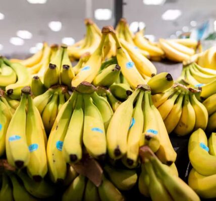Shock in Brabant: politie ontdekt verborgen drugslading tussen fruit in twee supermarkten