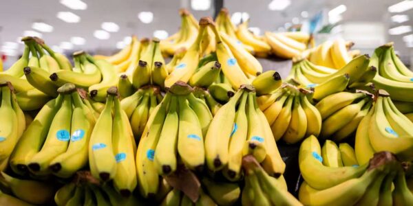 Shock in Brabant: politie ontdekt verborgen drugslading tussen fruit in twee supermarkten