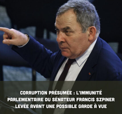 Corruption présumée : l’immunité parlementaire du sénateur Francis Szpiner levée avant une possible garde à vue