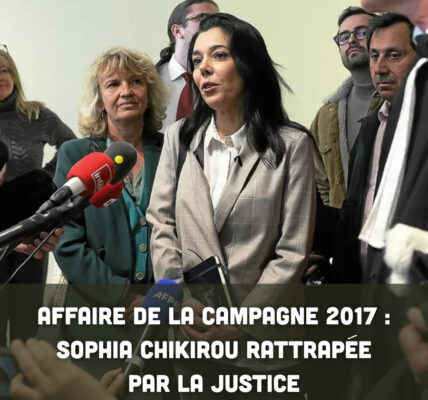 Affaire de la campagne 2017 : Sophia Chikirou rattrapée par la justice