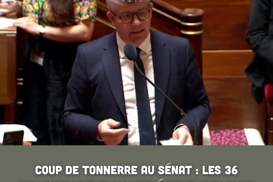 Coup de tonnerre au Sénat : les 36 milliards d’euros supplémentaires pour les armées rejetés à la surprise générale