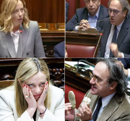 Bonelli nella bufera dopo il duro attacco a Meloni