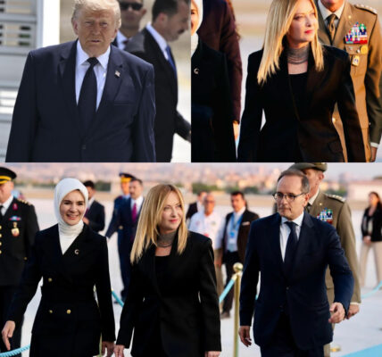 Il summit NATO raccontato dai video: il momento che accende il dibattito tra Trump e Meloni