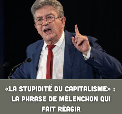 « La stupidité du capitalisme » : la phrase de Mélenchon qui fait réagir