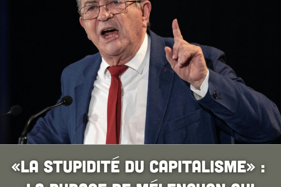 « La stupidité du capitalisme » : la phrase de Mélenchon qui fait réagir