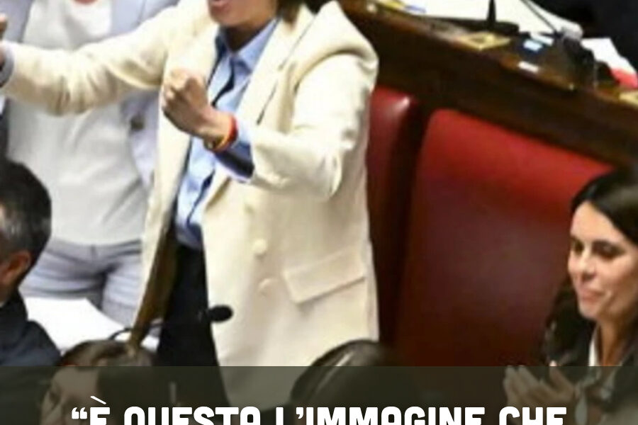 “È questa l’immagine che resterà”: l’affondo di FdI