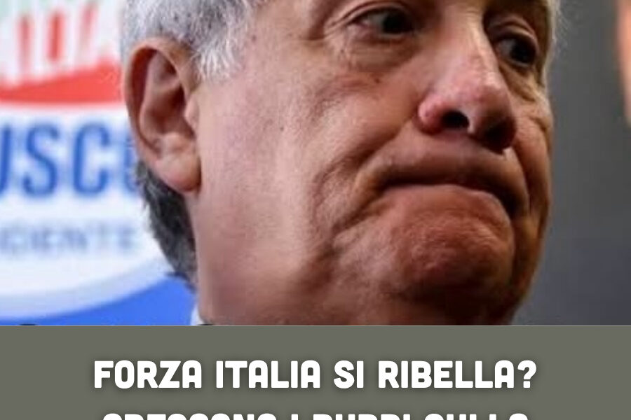 Forza Italia si ribella? Crescono i dubbi sulla riforma elettorale