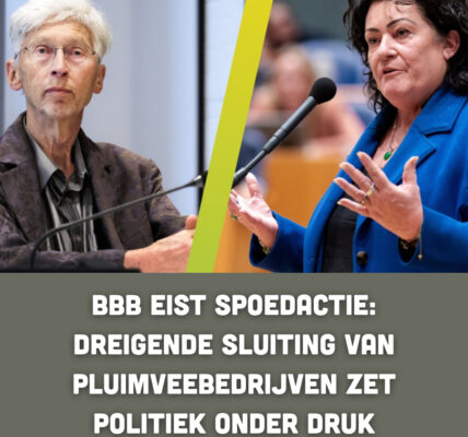 BBB eist spoedactie: Dreigende sluiting van pluimveebedrijven zet politiek onder druk