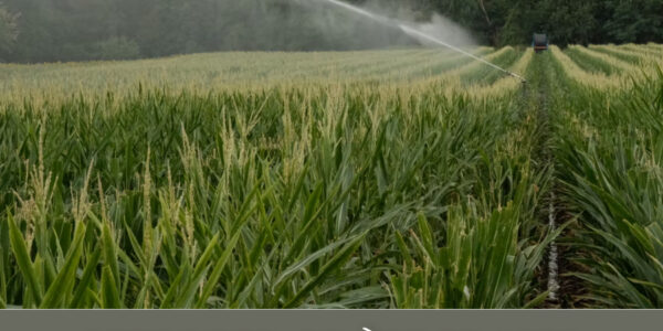 Pesticides, colère et vote décisif : la loi agricole entre dans sa dernière ligne droite