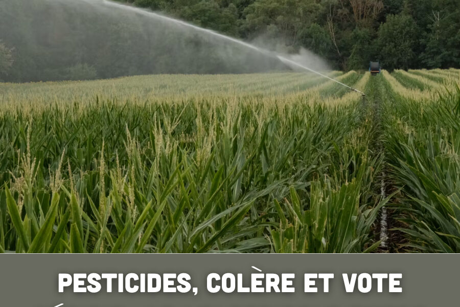 Pesticides, colère et vote décisif : la loi agricole entre dans sa dernière ligne droite