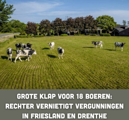 Grote klap voor 18 boeren: rechter vernietigt vergunningen in Friesland en Drenthe