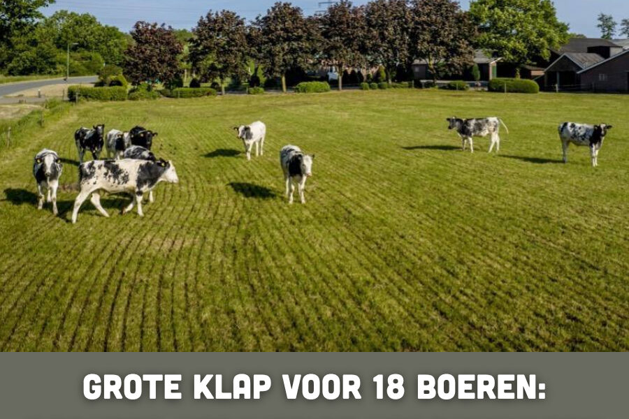 Grote klap voor 18 boeren: rechter vernietigt vergunningen in Friesland en Drenthe