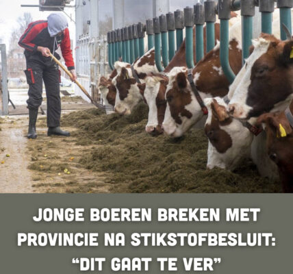 Jonge boeren breken met provincie na stikstofbesluit: “Dit gaat te ver”