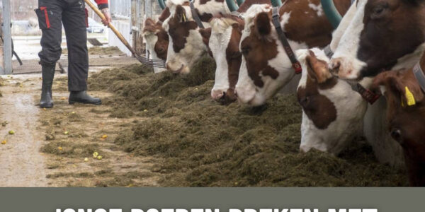 Jonge boeren breken met provincie na stikstofbesluit: “Dit gaat te ver”