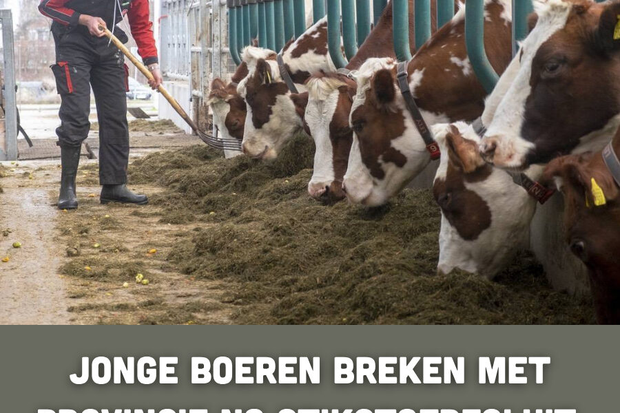Jonge boeren breken met provincie na stikstofbesluit: “Dit gaat te ver”