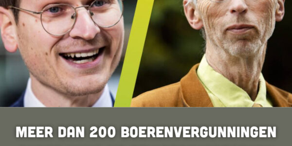 Meer dan 200 boerenvergunningen onder vuur na stikstofverzoeken van milieuorganisaties: wat staat boeren te wachten?
